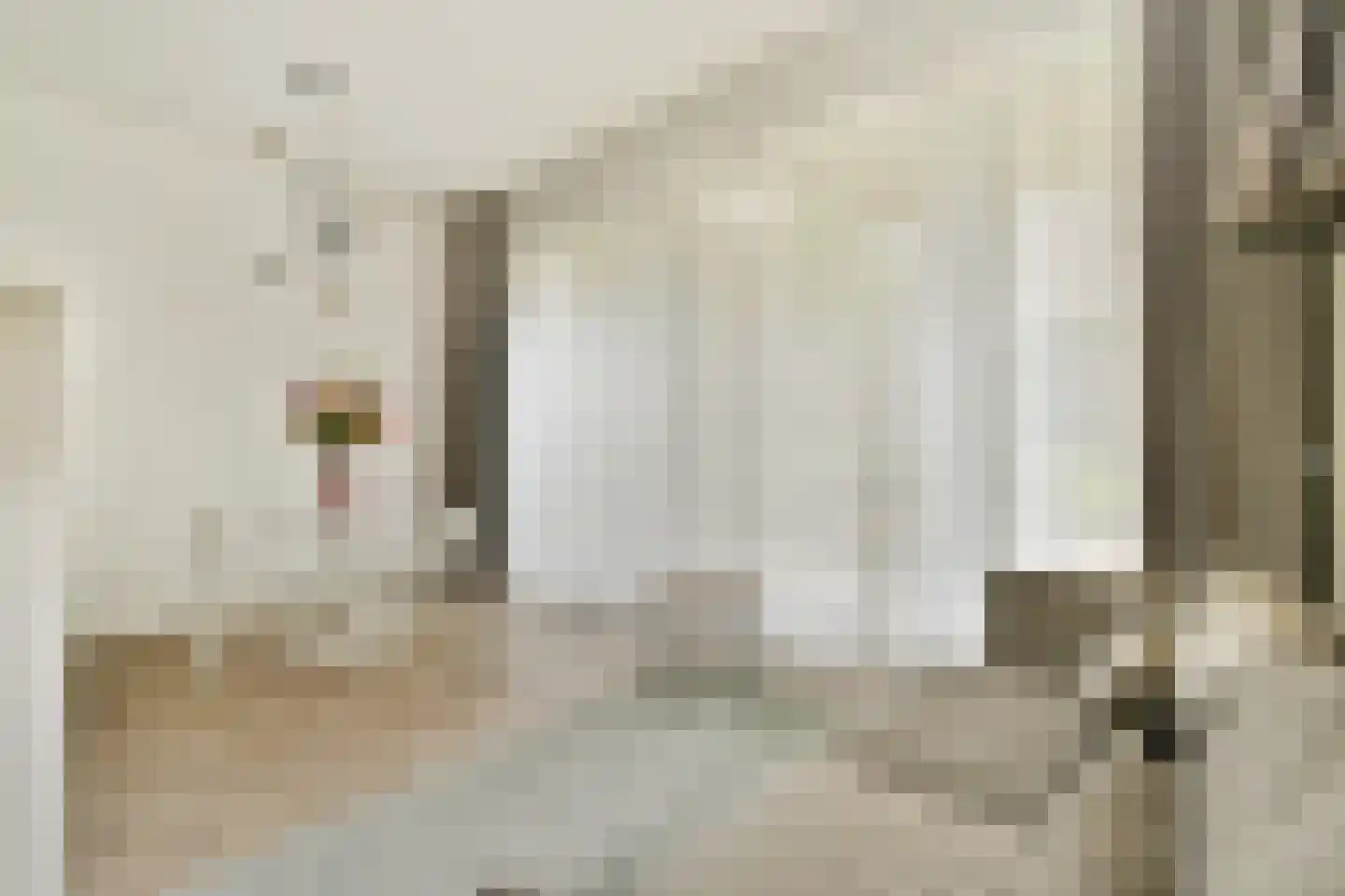 Faas Wilkesstraat 361 Amsterdam thumbnail 11