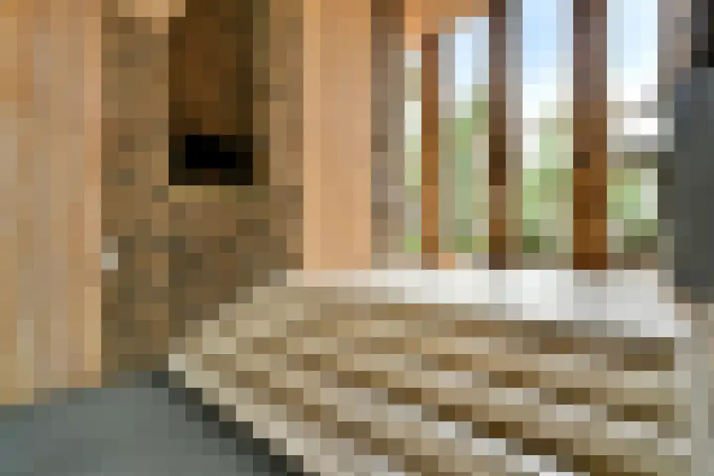 Faas Wilkesstraat 361 Amsterdam thumbnail 22