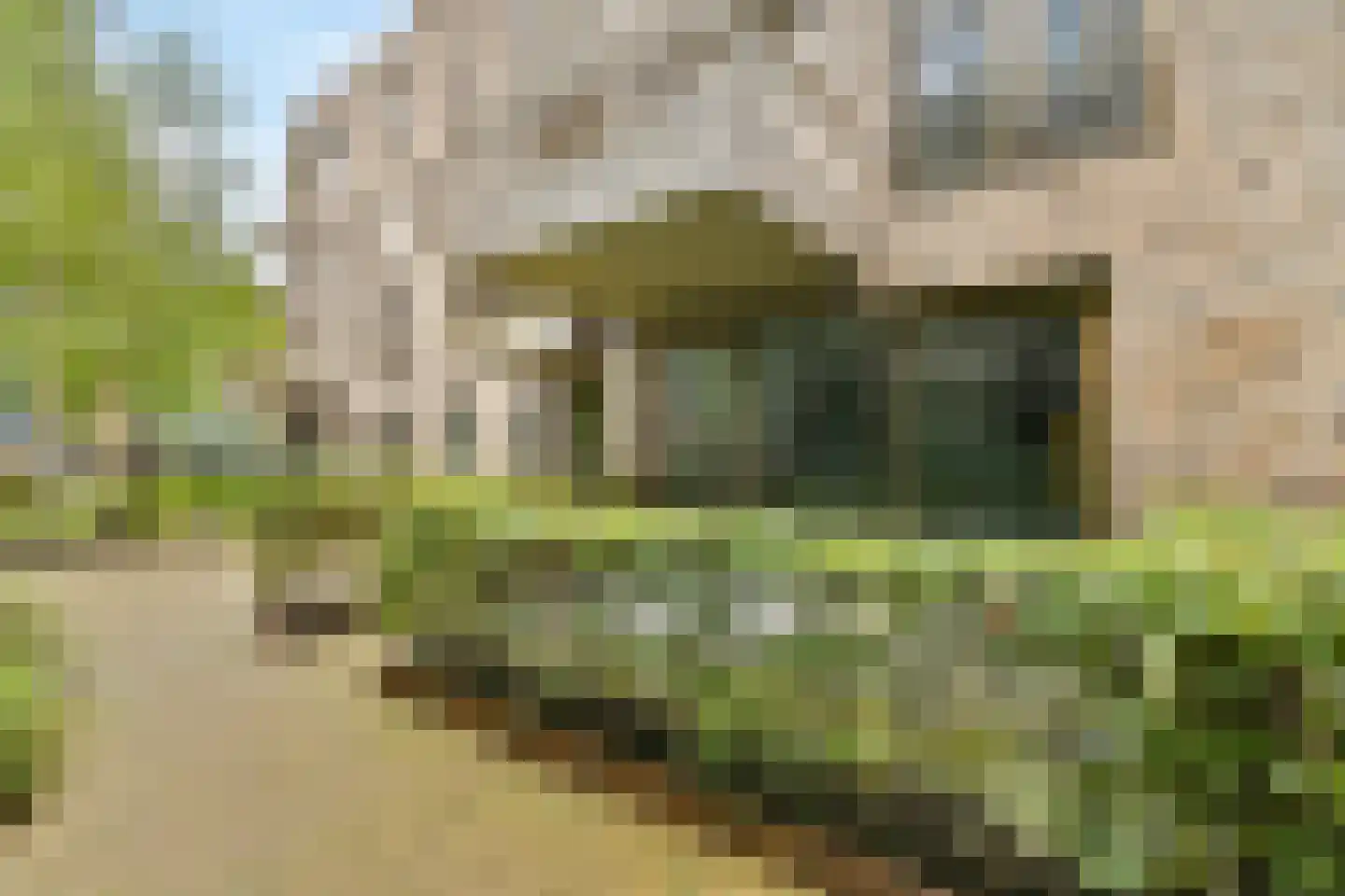 Faas Wilkesstraat 361 Amsterdam thumbnail 23
