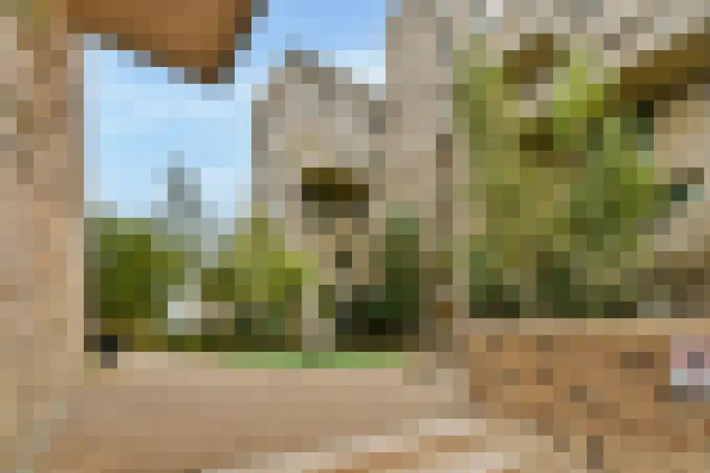 Faas Wilkesstraat 361 Amsterdam thumbnail 26