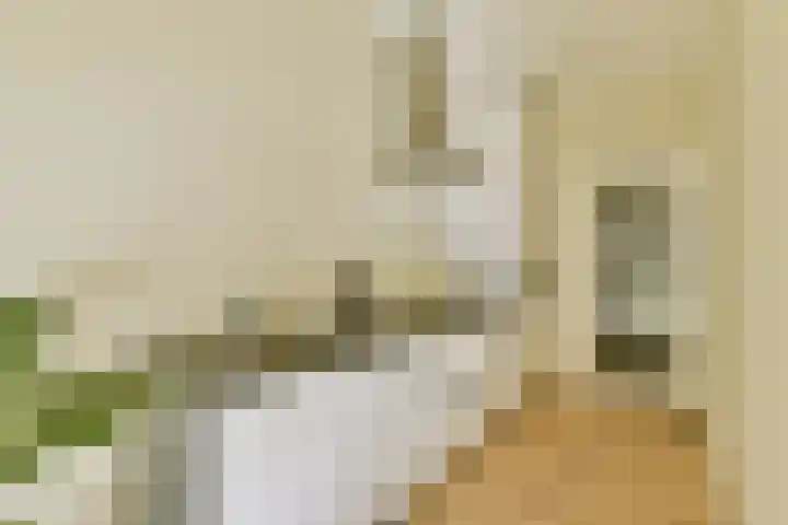 Faas Wilkesstraat 371 Amsterdam thumbnail 9