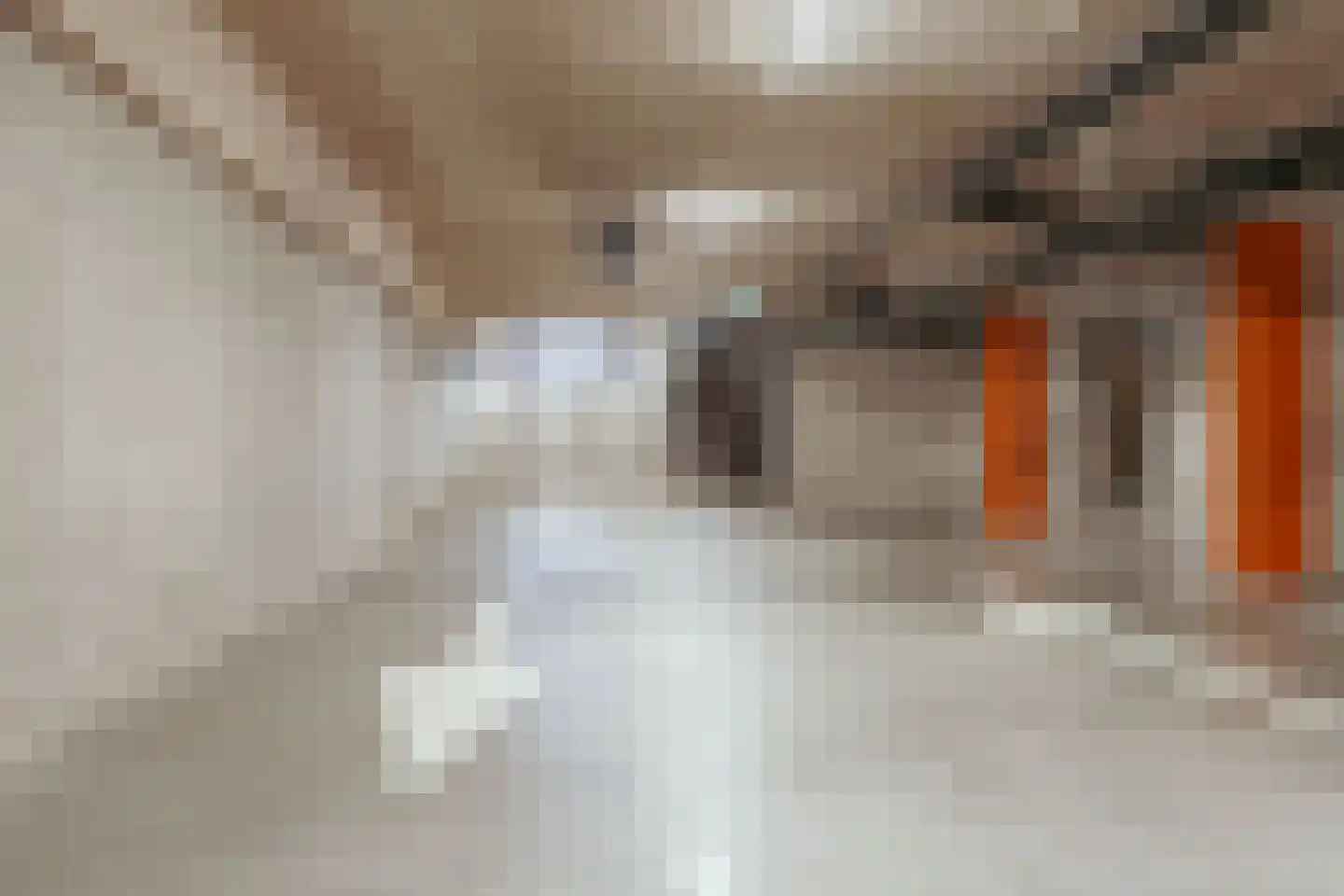 Faas Wilkesstraat 389 Amsterdam thumbnail 20