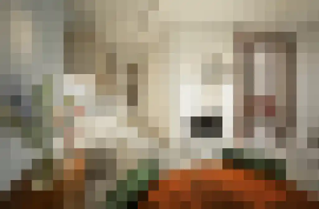 Faas Wilkesstraat 409 Amsterdam thumbnail 4