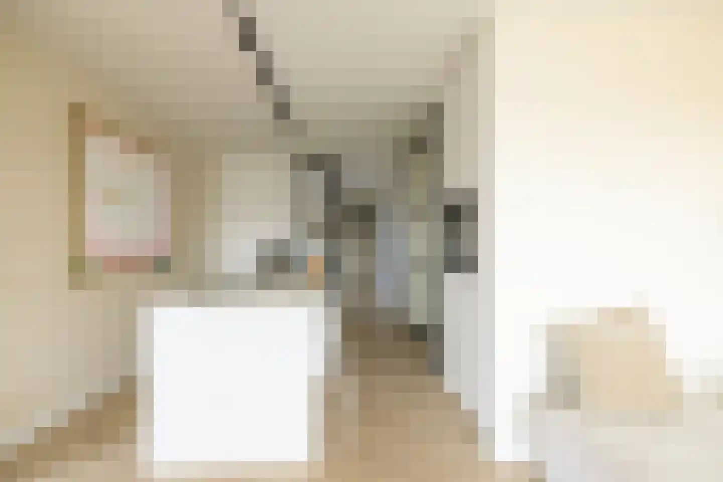 Faas Wilkesstraat 437 Amsterdam thumbnail 21