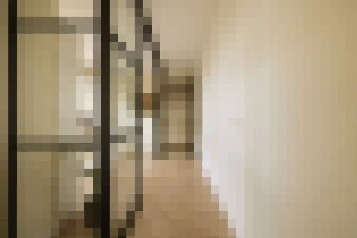 Faas Wilkesstraat 437 Amsterdam thumbnail 26