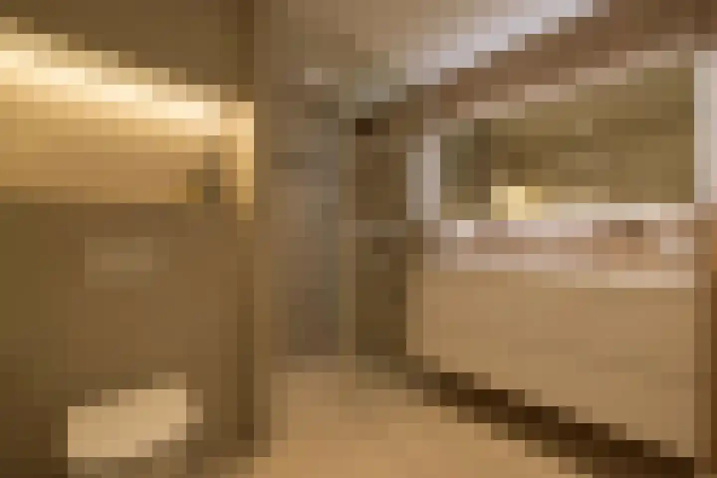 Faas Wilkesstraat 437 Amsterdam thumbnail 35