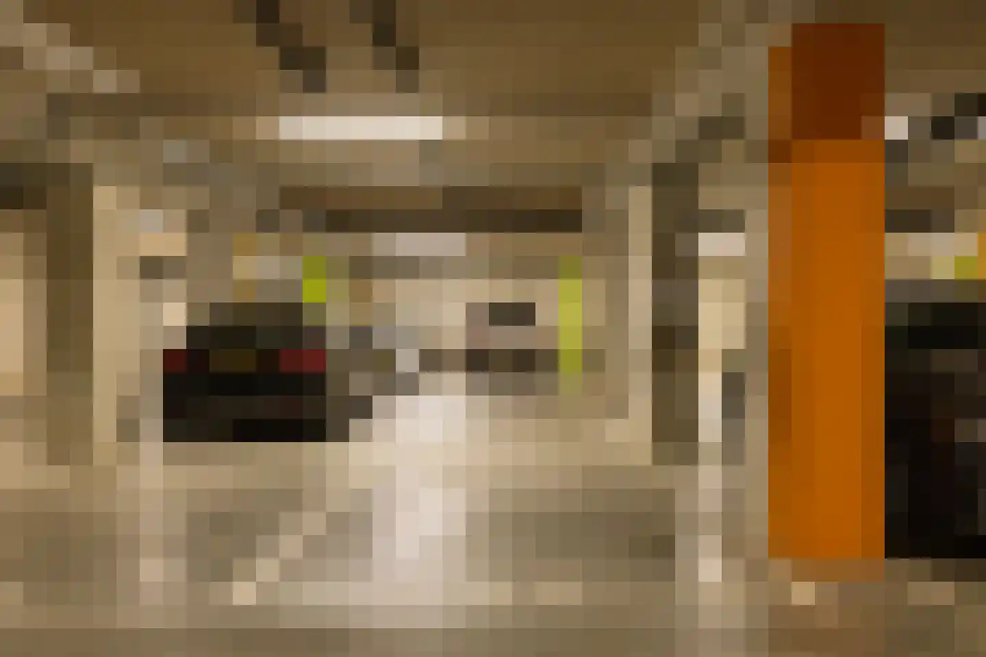 Faas Wilkesstraat 437 Amsterdam thumbnail 41