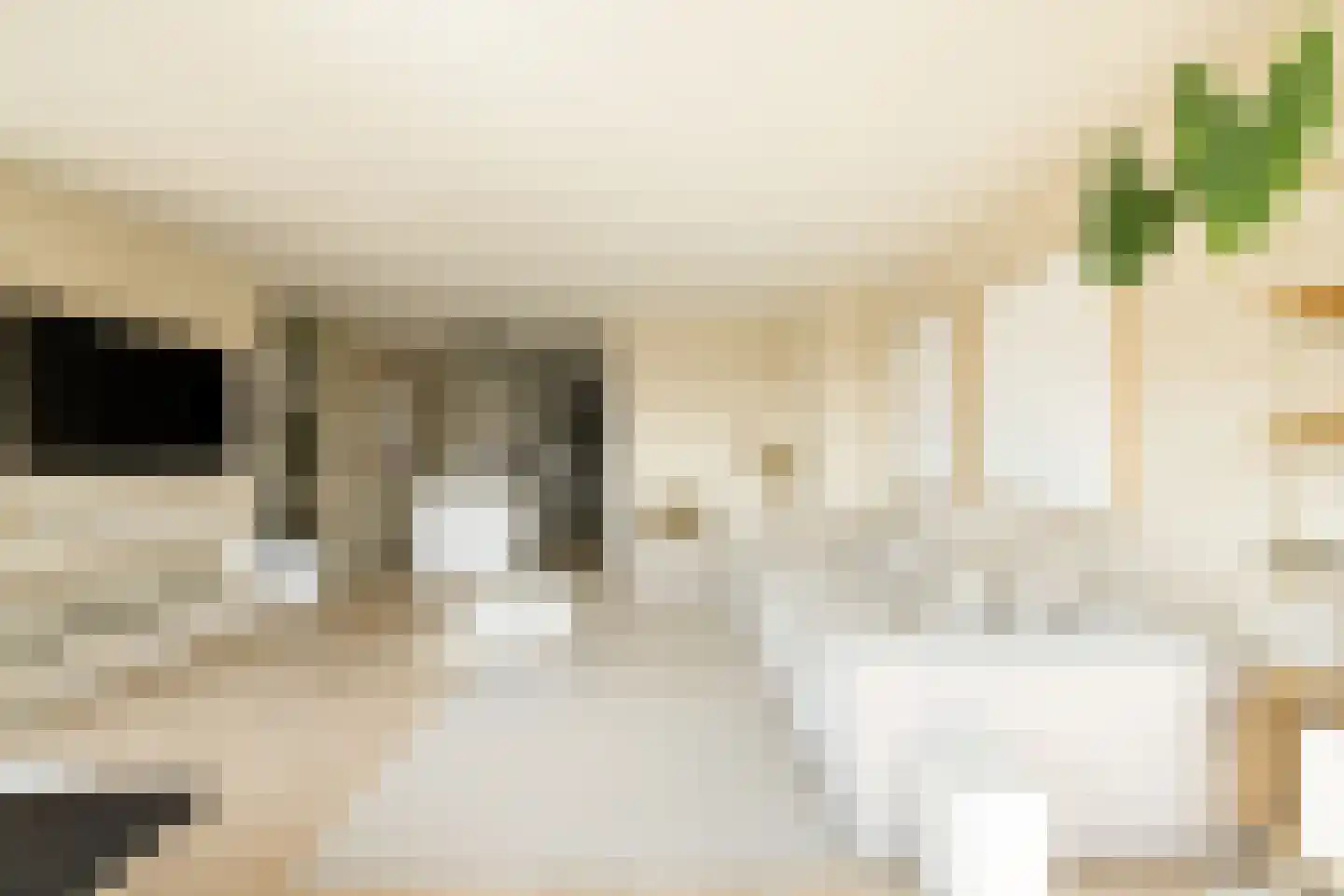 Faas Wilkesstraat 437 Amsterdam thumbnail 8