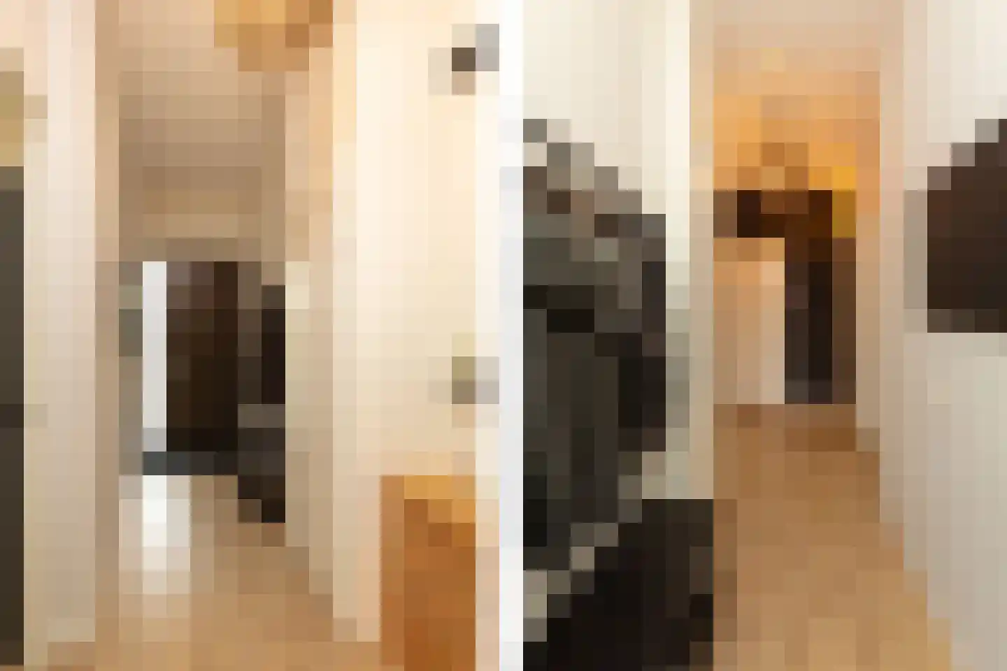 Faas Wilkesstraat 6 Amsterdam thumbnail 13