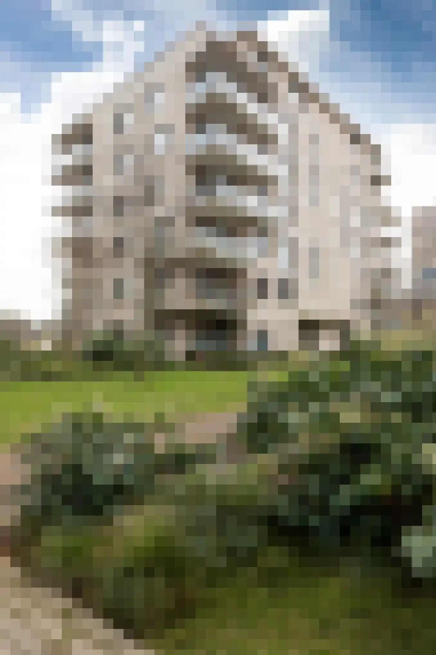 Faas Wilkesstraat 6 Amsterdam thumbnail 21