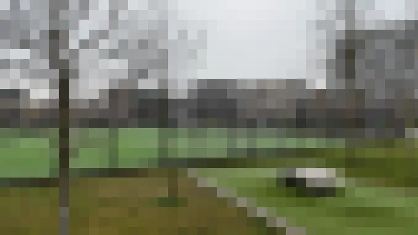 Faas Wilkesstraat 6 Amsterdam thumbnail 24