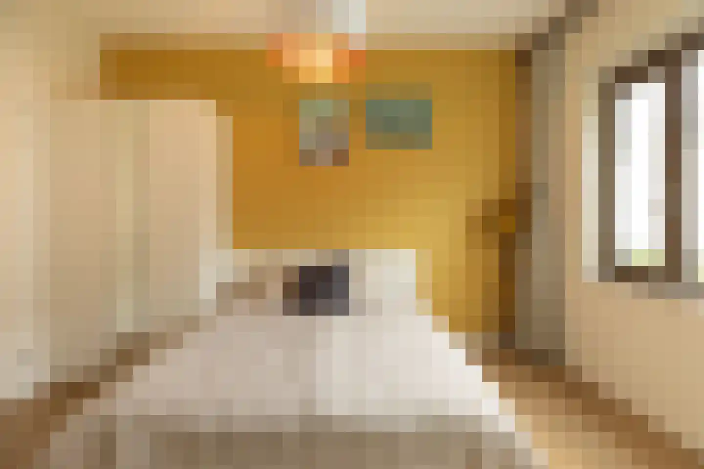 Faas Wilkesstraat 6 Amsterdam thumbnail 9