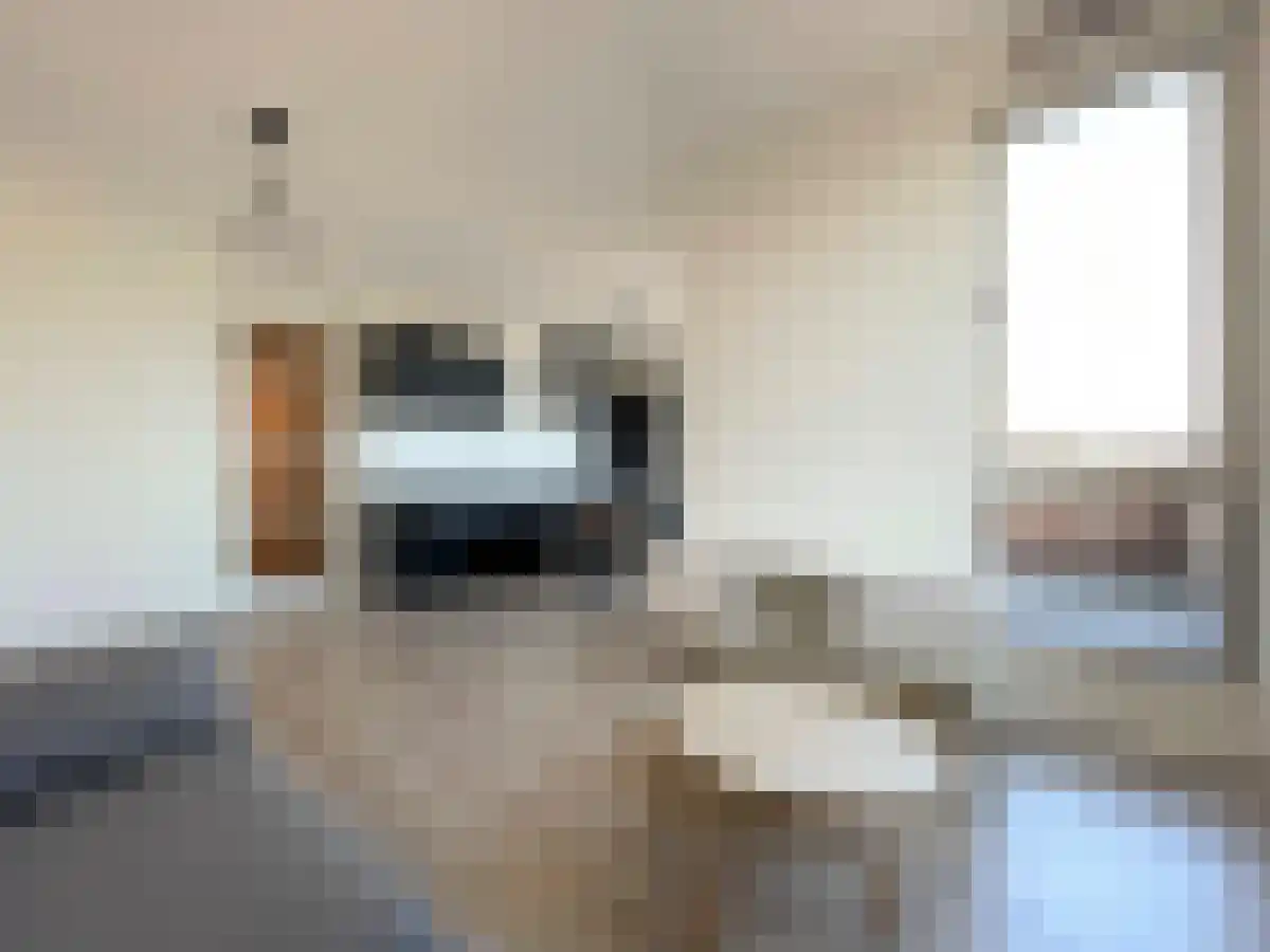 Faas Wilkesstraat Amsterdam thumbnail 5