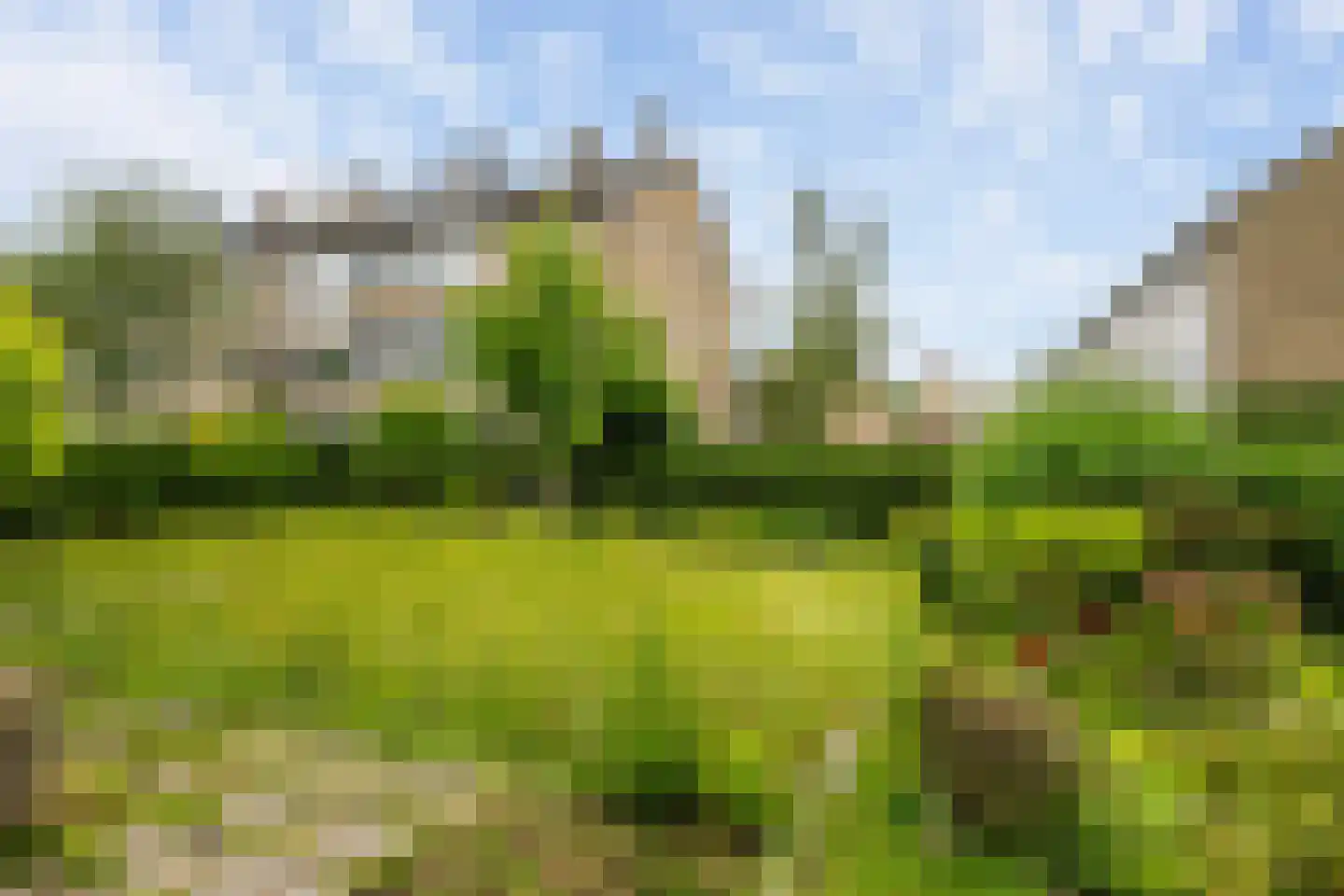 Faassenplein 134 Schiedam thumbnail 18