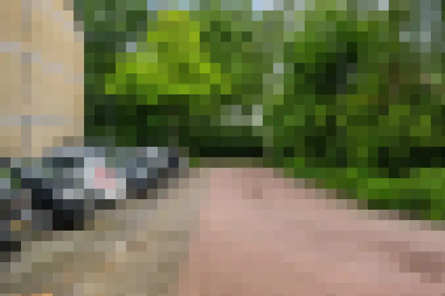 Faassenplein 134 Schiedam thumbnail 23