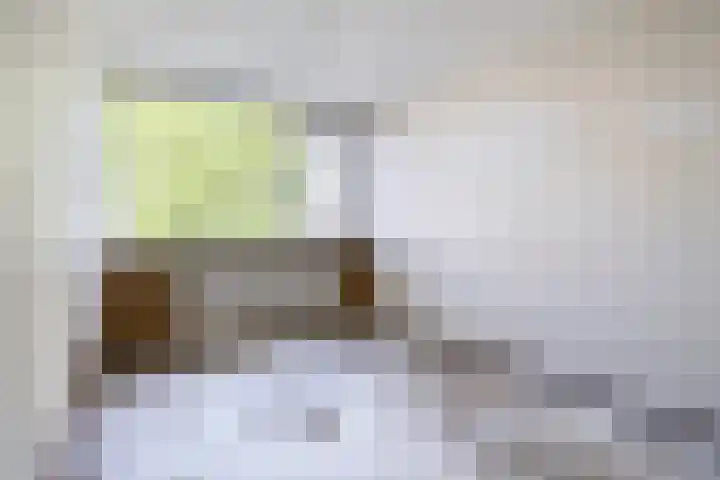 Faassenplein 26 Schiedam thumbnail 11