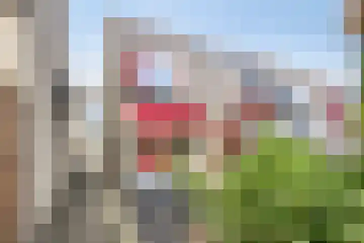 Faassenplein 26 Schiedam thumbnail 20