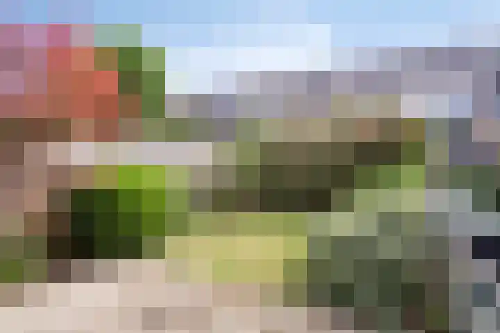 Faassenplein 26 Schiedam thumbnail 5