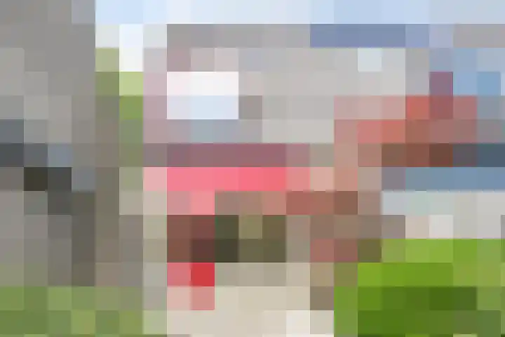 Faassenplein 26 Schiedam thumbnail 6