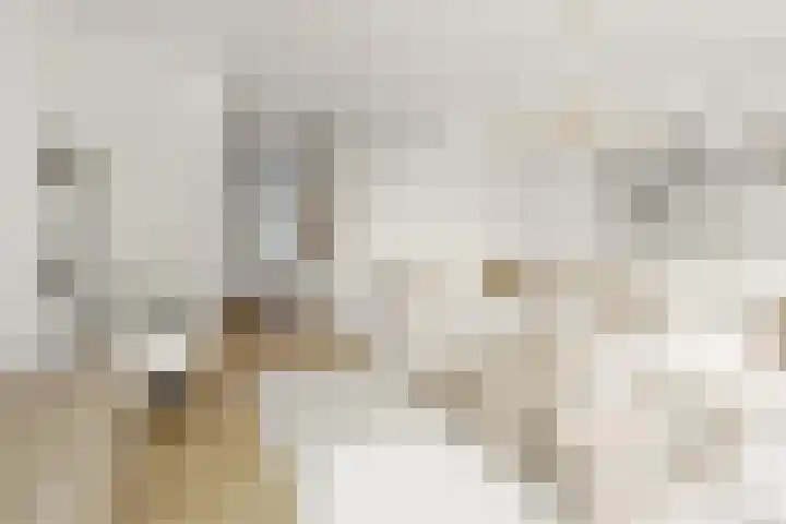 Faassenplein 26 Schiedam thumbnail 8
