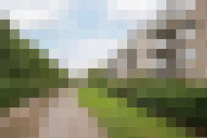 Faassenplein 41 Schiedam thumbnail 22
