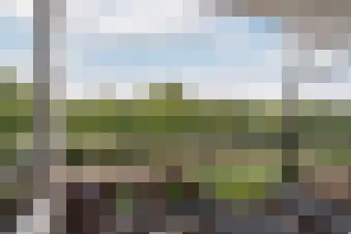 Faassenplein 41 Schiedam thumbnail 5