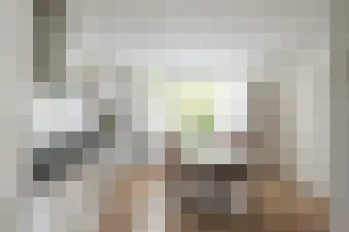 Faassenplein 41 Schiedam thumbnail 8