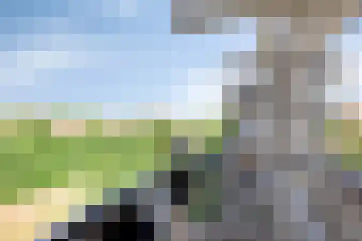 Faassenplein 63 Schiedam thumbnail 10