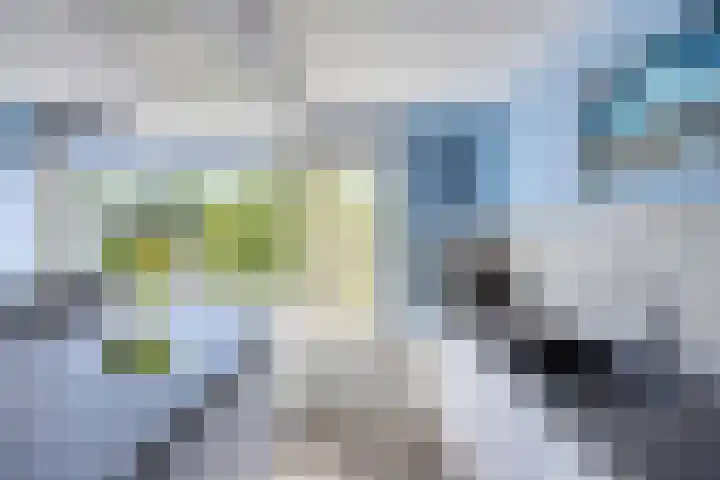 Faassenplein 63 Schiedam thumbnail 11
