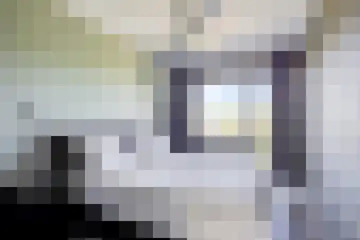 Faassenplein 63 Schiedam thumbnail 12