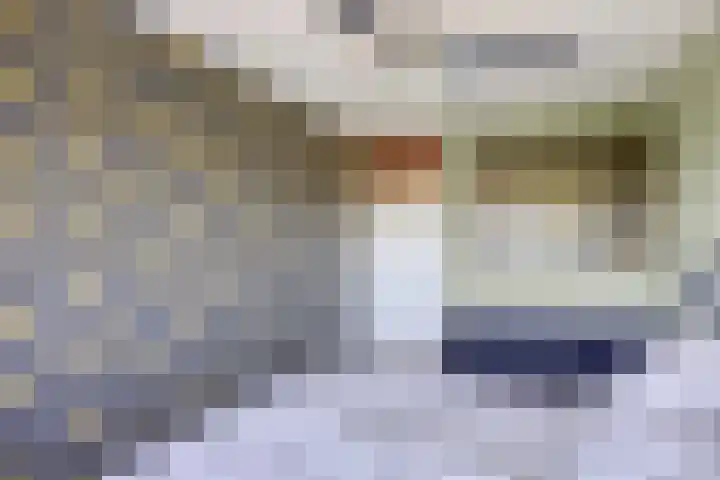 Faassenplein 63 Schiedam thumbnail 13