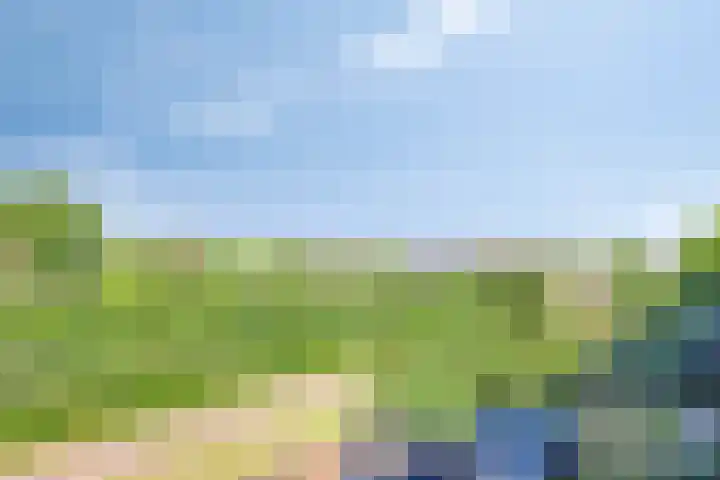 Faassenplein 63 Schiedam thumbnail 22