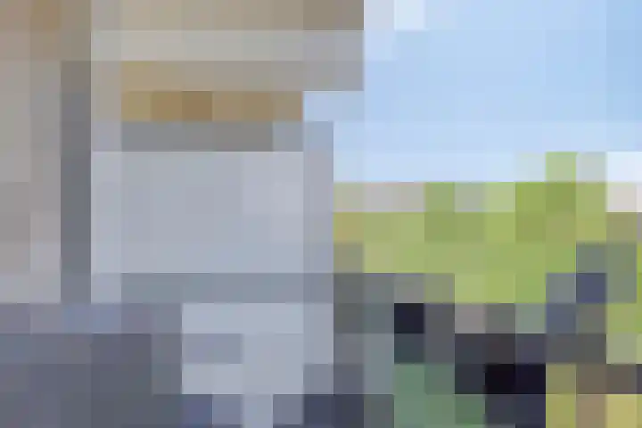 Faassenplein 63 Schiedam thumbnail 23