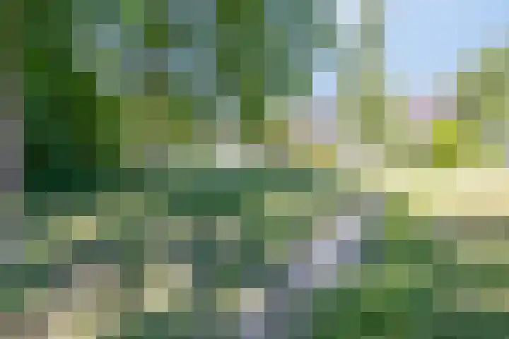 Faassenplein 63 Schiedam thumbnail 24