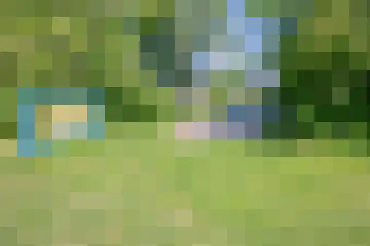Faassenplein 63 Schiedam thumbnail 25