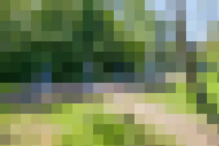 Faassenplein 63 Schiedam thumbnail 26
