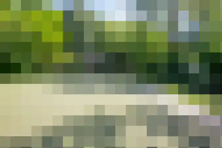 Faassenplein 63 Schiedam thumbnail 27