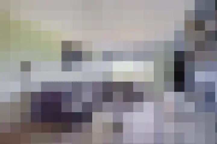 Faassenplein 63 Schiedam thumbnail 4