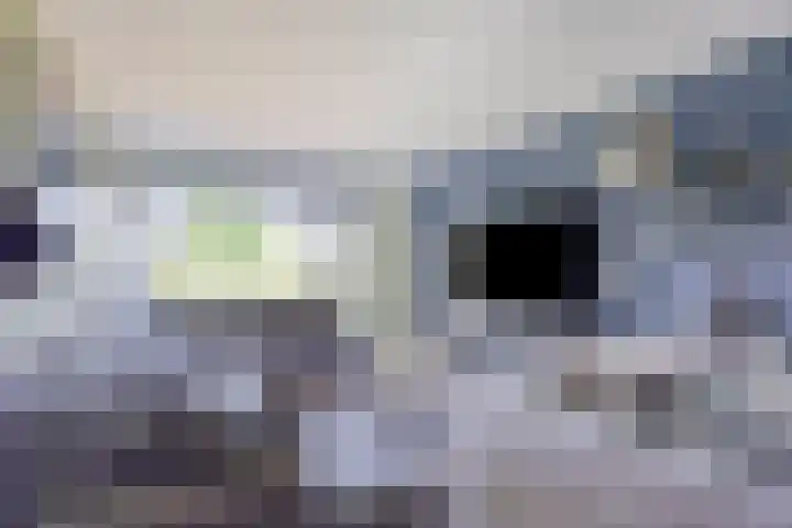 Faassenplein 63 Schiedam thumbnail 6