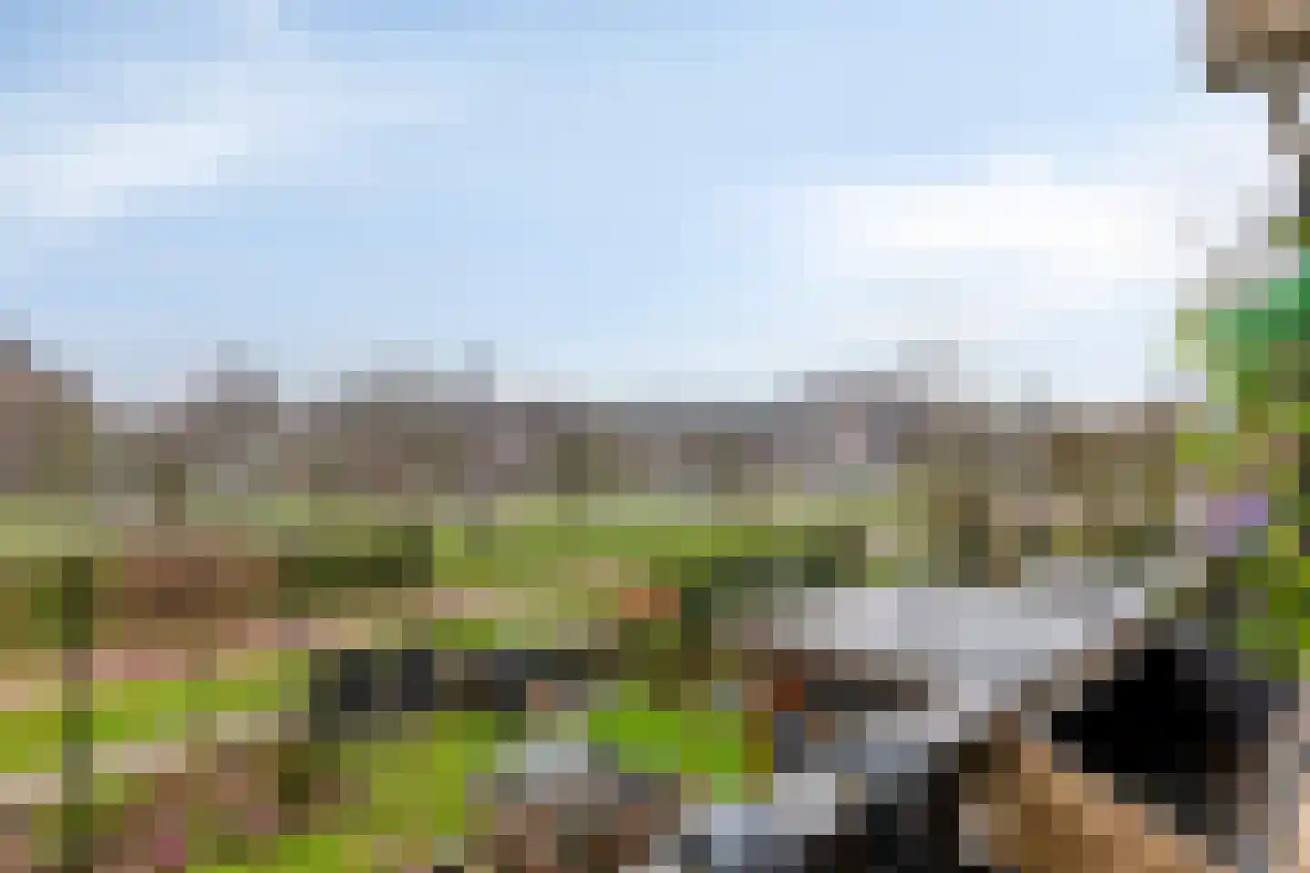 Faassenplein 85 Schiedam thumbnail 4