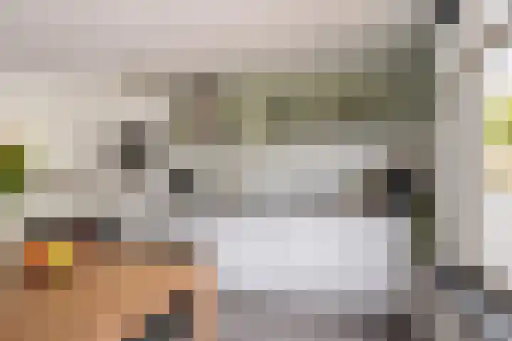 Faassenplein 94 Schiedam thumbnail 16