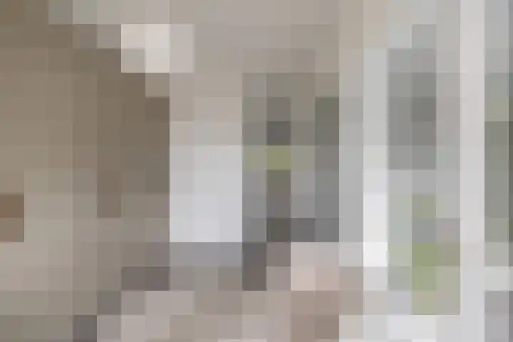 Faassenplein 94 Schiedam thumbnail 21