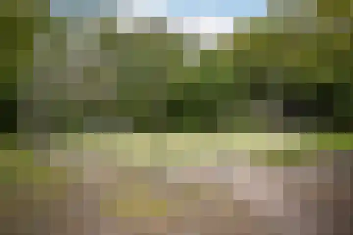 Faassenplein 94 Schiedam thumbnail 26