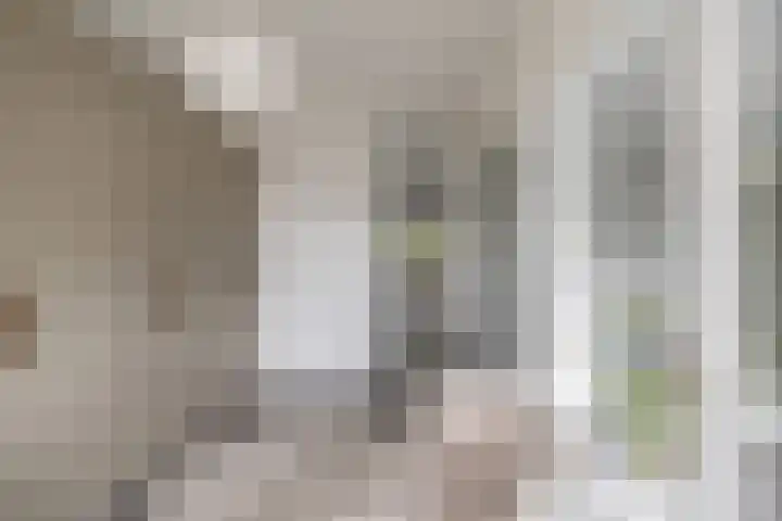 Faassenplein 94 Schiedam thumbnail 4