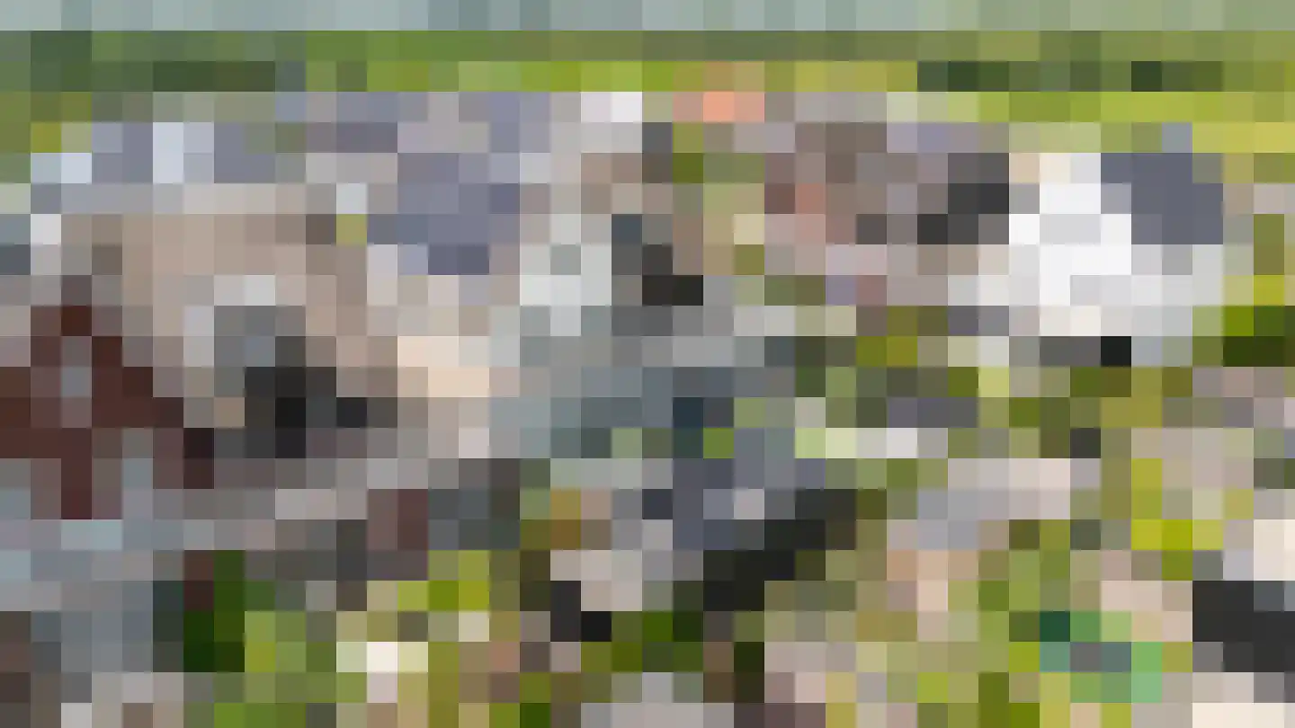 Fabeldierenlaan 17 Vleuten thumbnail 69