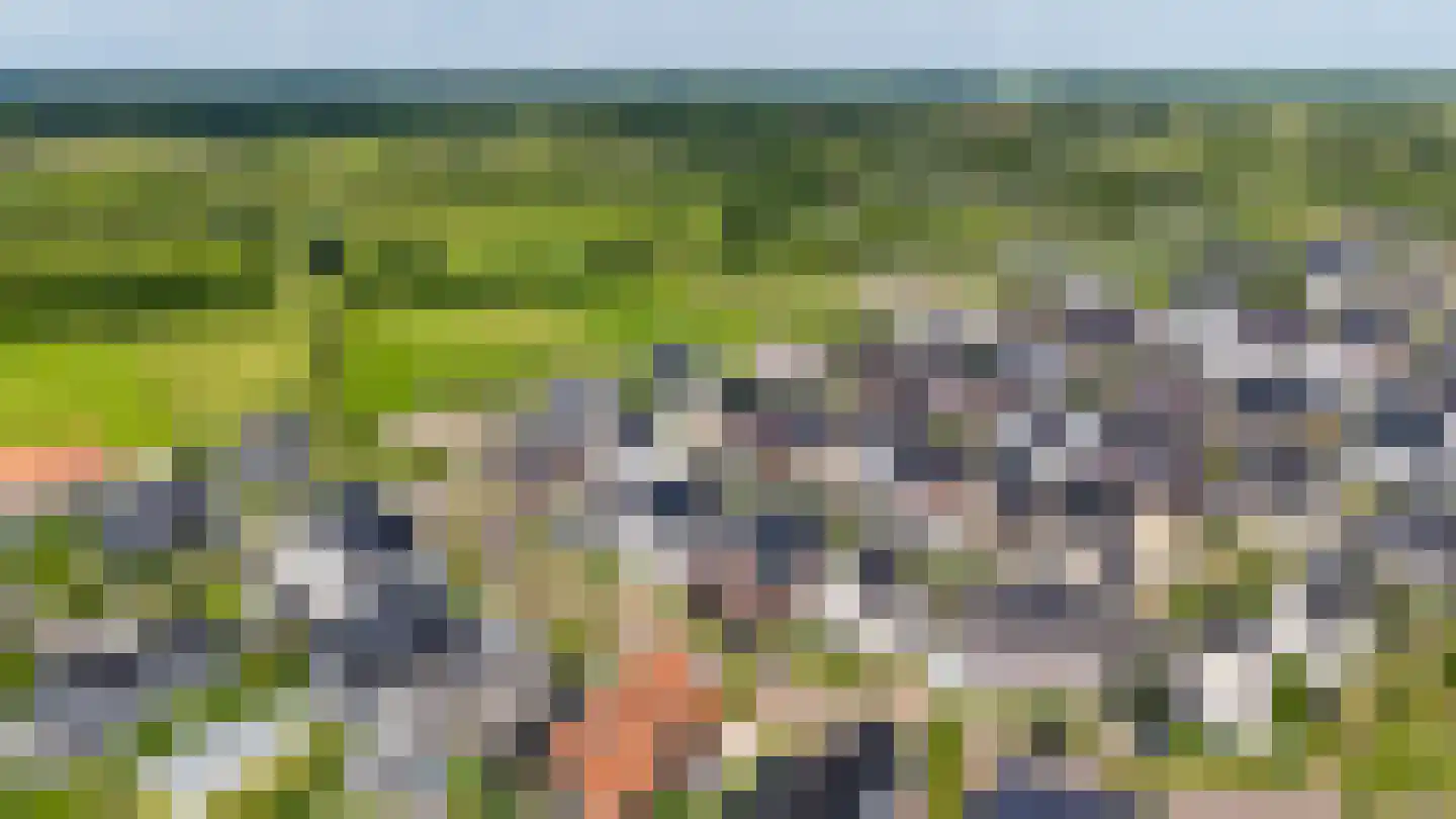 Fabeldierenlaan 17 Vleuten thumbnail 7