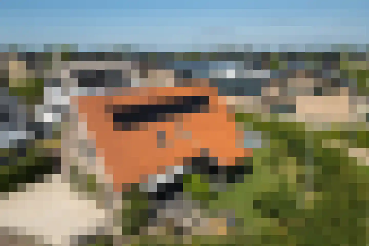 Fabeldierenlaan 8 Vleuten thumbnail 59