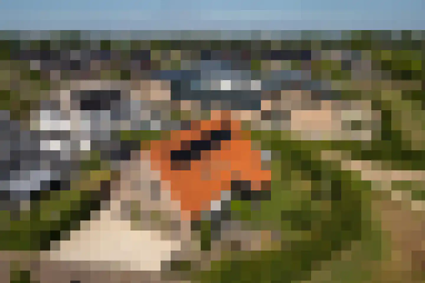 Fabeldierenlaan 8 Vleuten thumbnail 60
