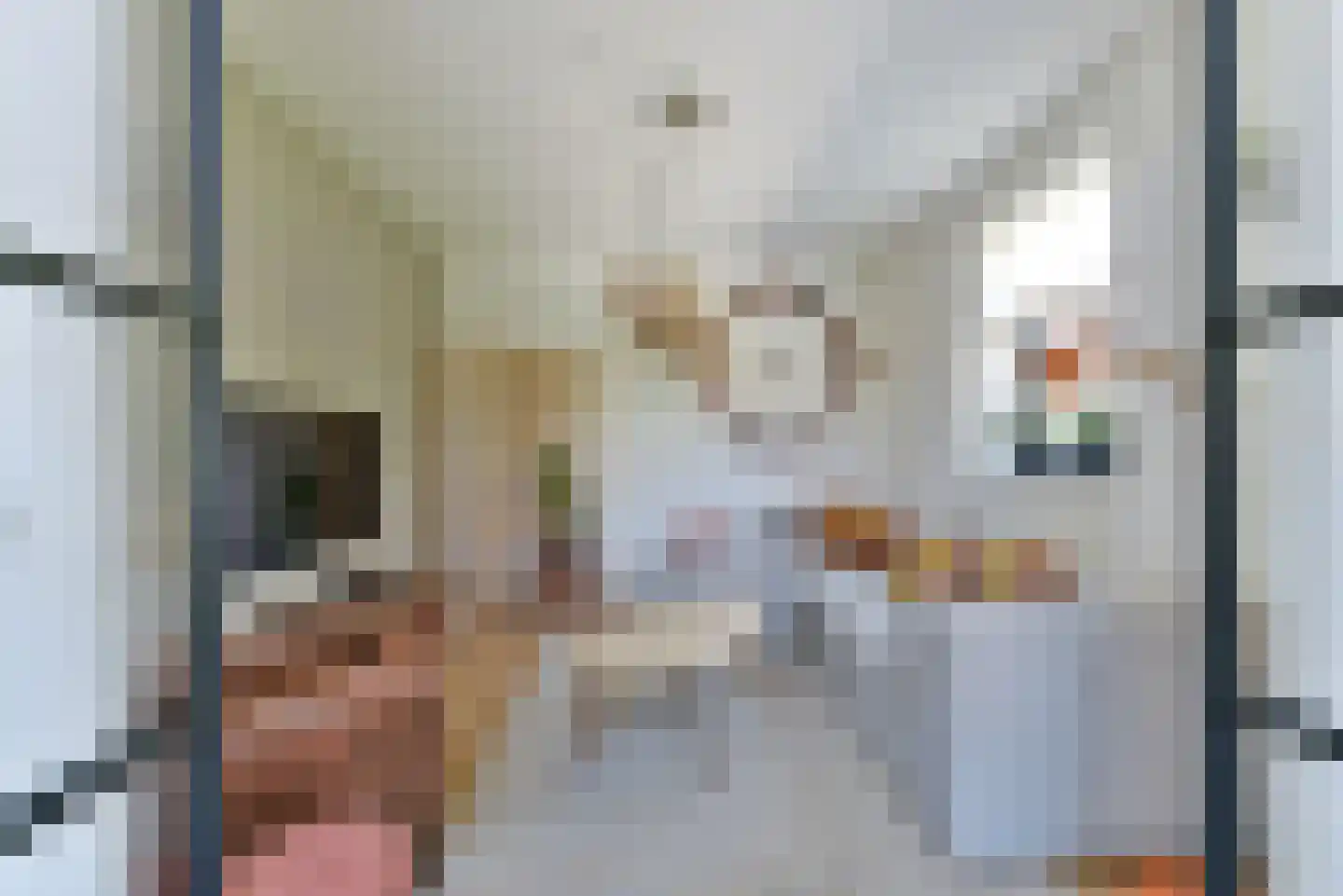 Fabeldierenlaan 8 Vleuten thumbnail 8