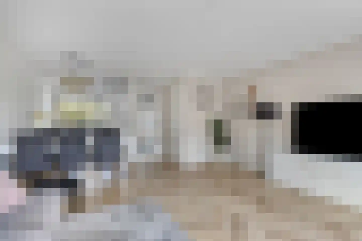 Faberhof 32 Veenendaal thumbnail 11
